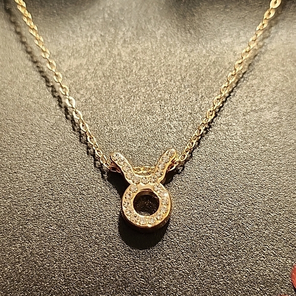 Dainty Taurus Necklace - Picture 1 of 6